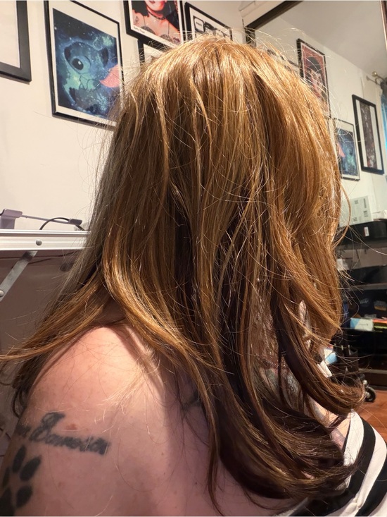 Light Auburn Layered Wig with Subtle Dark Ends